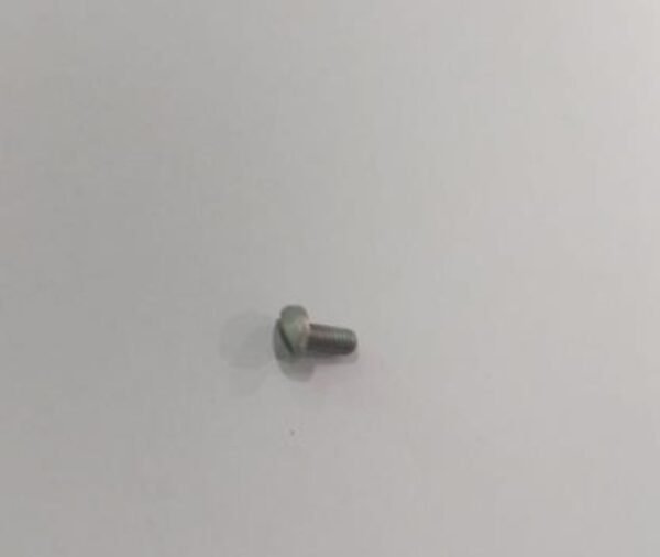 Screw
